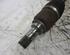 Drive Shaft RENAULT Clio III (BR0/1, CR0/1)