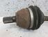 Drive Shaft VOLVO V50 (545)