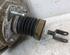 Brake Booster BMW 5 (E60)