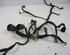 Wiring Harness CITROËN C4 GRAND PICASSO I (UA_), CITROËN C4 PICASSO I MPV (UD_)