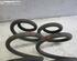 Coil Spring NISSAN Qashqai +2 I (J10, JJ10E, NJ10)