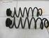 Coil Spring SKODA Fabia II (542)