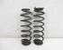 Coil Spring VW Passat (3C2)