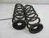 Coil Spring VW Golf V (1K1)