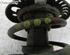 Suspension Strut SKODA Fabia II (542)