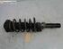 Suspension Strut SKODA Fabia II (542)