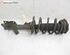 Suspension Strut SEAT Leon (1P1)