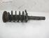 Suspension Strut VOLVO V70 III (135)