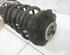 Suspension Strut VW Passat (362)