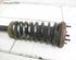 Suspension Strut JAGUAR S-Type (X200)