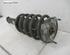 Suspension Strut PEUGEOT 407 (6D)