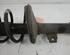 Suspension Strut DACIA Duster (HS), DACIA Logan MCV (KS)