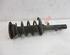 Suspension Strut FORD Galaxy (WA6), FORD S-Max (WA6)