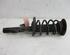 Suspension Strut FORD Galaxy (WA6), FORD S-Max (WA6)