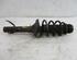 Suspension Strut VW New Beetle (1C1, 9C1)