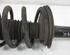 Suspension Strut MAZDA CX-9 (TB)