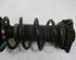 Suspension Strut SKODA Octavia II Combi (1Z5)