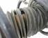 Suspension Strut BMW 1er (F20)