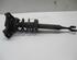 Suspension Strut AUDI A4 Avant (8ED, B7)