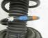 Suspension Strut FORD Focus III Turnier (--)