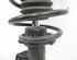 Suspension Strut BMW 3er Touring (E91)