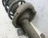 Suspension Strut FORD C-MAX (DM2), FORD FOCUS C-MAX (DM2)