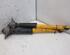 Suspension Strut SEAT LEON (1P1)