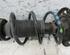 Suspension Strut AUDI A1 (8X1, 8XK), AUDI A1 Sportback (8XA, 8XF)