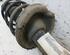 Suspension Strut VOLVO V50 (545)