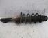 Suspension Strut SKODA FABIA II (542)