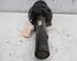 Suspension Strut SKODA FABIA II (542)