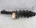 Suspension Strut SKODA FABIA II (542)