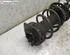 Suspension Strut NISSAN QASHQAI / QASHQAI +2 I (J10, NJ10, JJ10E)