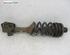 Suspension Strut LAND ROVER FREELANDER (L314)