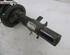 Suspension Strut FORD KUGA I, FORD KUGA II (DM2)