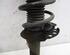 Suspension Strut FORD KUGA II (DM2)