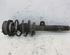 Suspension Strut BMW 3 Touring (E91)