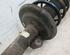 Suspension Strut TOYOTA YARIS (_P9_)