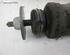 Shock Absorber MERCEDES-BENZ B-Klasse (W245)