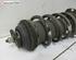 Shock Absorber OPEL Meriva B Großraumlimousine (S10)