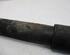 Shock Absorber FORD Focus C-Max (--)