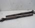 Shock Absorber FORD C-Max (DM2), FORD Focus C-Max (--)