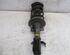 Shock Absorber RENAULT KANGOO / GRAND KANGOO (KW0/1_), RENAULT KANGOO BE BOP (KW0/1_)