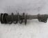 Shock Absorber RENAULT KANGOO / GRAND KANGOO (KW0/1_), RENAULT KANGOO BE BOP (KW0/1_)