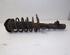 Shock Absorber CITROËN C3 PICASSO (SH_)