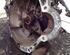 Manual Transmission HYUNDAI i30 Estate (GD)