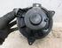 Interior Blower Motor FORD TRANSIT CONNECT (P65_, P70_, P80_)