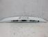 Door handle frame RENAULT Zoe (BFM)