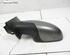 Wing (Door) Mirror SEAT Toledo III (5P2)