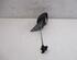 Wing (Door) Mirror SKODA Fabia II (542)